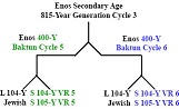 http://timeemits.com/Get_More_Time_files/Enos800YGC3x2-400YBC50pck.jpg