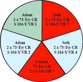 http://timeemits.com/HoH_Articles/Primary_70-Sacred-Year_Age_of_Cainan_files/Adam_73Tsy_Seth_2G2BRL.jpg