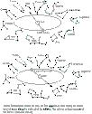 Sumerian_6_Sign_Zodiac_and_Mayan_Calendar_360_files/zodiac-NS20pcb.jpg