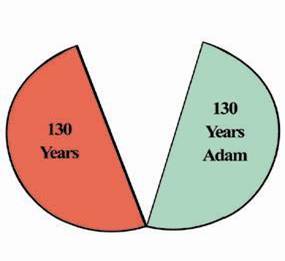 Adam 260 year time split